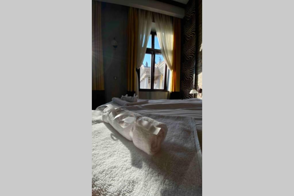 Safari Royal Apartment 오라데아 외부 사진
